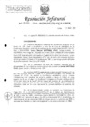 Vista preliminar de documento 2014