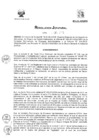 Vista preliminar de documento RJ 074-2013/SIS