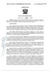 Vista preliminar de documento RA-N°-111