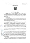 Vista preliminar de documento RA-N°-126