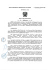 Vista preliminar de documento RA-N°-130-1