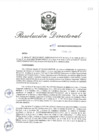 Vista preliminar de documento RD_2019_089_COPESCO