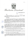 Vista preliminar de documento RD_2019_093_COPESCO