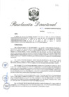 Vista preliminar de documento RD_2019_099_COPESCO