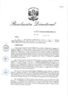 Vista preliminar de documento RD_2019_108_COPESCO