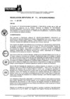 Vista preliminar de documento RJ-091-2019-JNAC-RENIEC