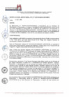 Vista preliminar de documento RJ-167-2019-JNAC-RENIEC