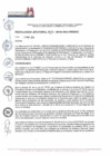 Vista preliminar de documento RJ-193-2019-JNAC-RENIEC