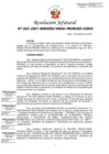 Vista preliminar de documento Resolución-jefatural-N-022-MINEDU-VMGI-PRONIED-UGRD 