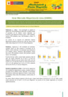 Vista preliminar de documento Reporte de Ingreso y Precios en el GRAN MERCADO MAYORISTA DE LIMA - 10/02/21