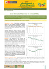 Vista preliminar de documento Reporte de Ingreso y Precios en el GRAN MERCADO MAYORISTA DE LIMA - 11/02/21