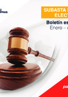 Vista preliminar de documento Boletín estadístico subasta inversa electrónica N° 04