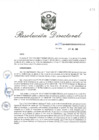Vista preliminar de documento RD_2019_234_COPESCO