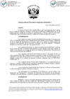 Vista preliminar de documento RESOLUCION-DE-JEFATURA-00005-2021-OSINFOR-01.1