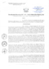 Vista preliminar de documento Resolución Directoral