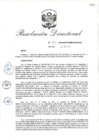 Vista preliminar de documento RD_2018_002_COPESCO