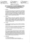 Vista preliminar de documento Directiva N° 001-2021-MTC/01