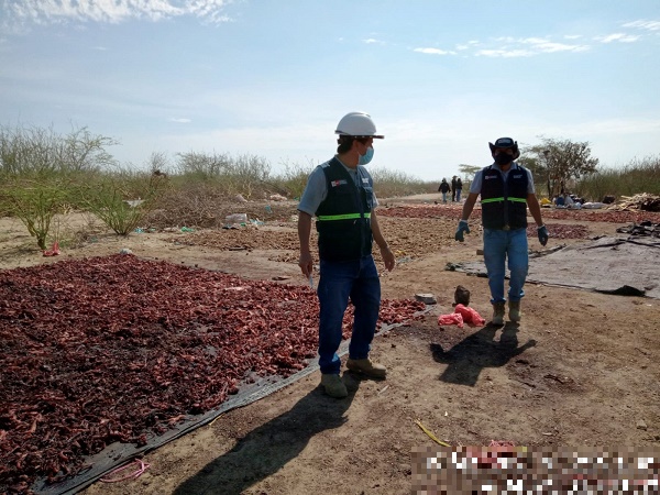 Peru noticias