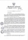 Vista preliminar de documento 2017