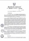 Vista preliminar de documento 2017