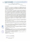 Vista preliminar de documento Resolucion-001-2021-CVH-GG.pdf