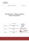 Vista preliminar de documento Procedimiento "Realizar auditoría interna de procesos" 