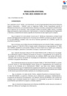 Vista preliminar de documento Resolución