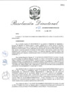 Vista preliminar de documento RD_2018_128_COPESCO