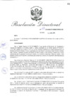 Vista preliminar de documento RD_2018_133_COPESCO