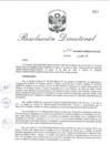 Vista preliminar de documento RD_2018_134_COPESCO