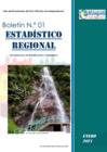 Vista preliminar de documento Boletin-01-Enero-2021.pdf
