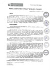 Vista preliminar de documento rd016_2021.pdf