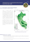 Vista preliminar de documento cafe_monitoreo_2feb21.pdf