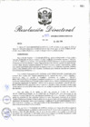 Vista preliminar de documento RD_2018_333_COPESCO