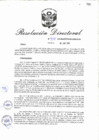 Vista preliminar de documento RD_2018_334_COPESCO