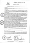 Vista preliminar de documento ORDENANZA QUE APRUEBA LA REGULARIZACION DE LICENCIA DE EDIFICACION