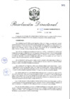 Vista preliminar de documento RD_2018_422_COPESCO