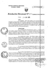 Vista preliminar de documento RD0175-minagri-dvdiar-pebpt.de.PDF
