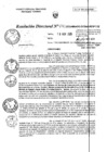 Vista preliminar de documento RD0163-minagri-dvdiar-pebpt.de.PDF