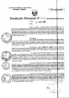 Vista preliminar de documento RD0159-minagri-dvdiar-pebpt.de.PDF