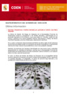 Vista preliminar de documento Boletín Informativo de Emergencias Nº 2003