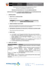 Vista preliminar de documento Convocatoria-2016-CAS-033