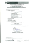 Vista preliminar de documento Preliminar-2016-CAS-029