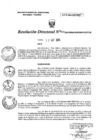 Vista preliminar de documento RD0131-minagri-dvdiar-pebpt.de.PDF