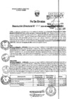 Vista preliminar de documento RD0110_minagri-dvdiar-pebpt.de-Fe De Erratas.PDF
