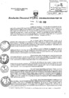 Vista preliminar de documento RD0106-minagri-dvdiar-pebpt.de.PDF