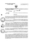 Vista preliminar de documento RD0103-minagri-dvdiar-pebpt.de.PDF