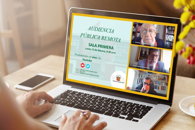 Audiencia Pública Remota realizada el 15 de febrero.