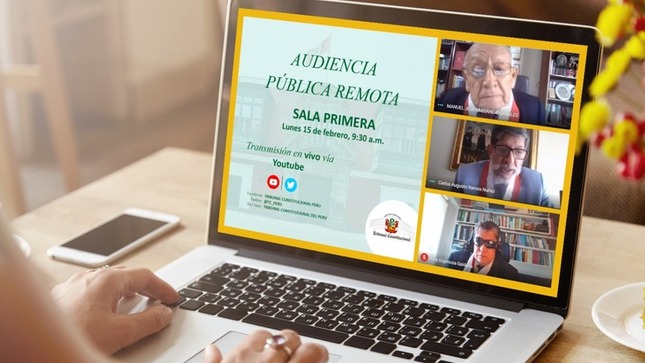 Audiencia Pública Remota realizada el 15 de febrero.