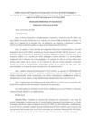 Vista preliminar de documento 2010